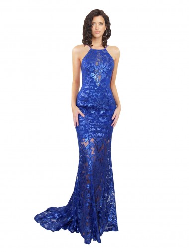 Open Back Lace High Neck Long Sleeveless Semi Formal Evening Dress / Prom Dress / Bridesmaid Dress Norwich