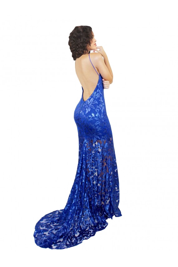 Open Back Lace High Neck Long Sleeveless Semi Formal Evening Dress / Prom Dress / Bridesmaid Dress Norwich