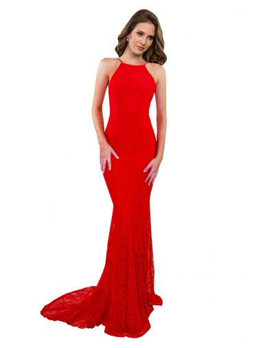 Open Back Lace High Neck Long Sleeveless Evening Gown / Prom Dress / Bridesmaid Dress Norwich