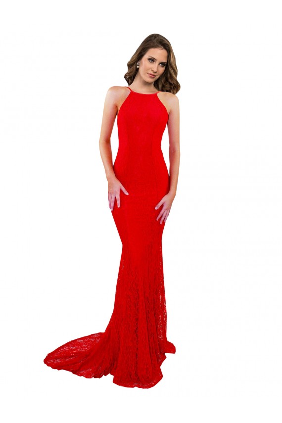 Open Back Lace High Neck Long Sleeveless Evening Gown / Prom Dress / Bridesmaid Dress Norwich